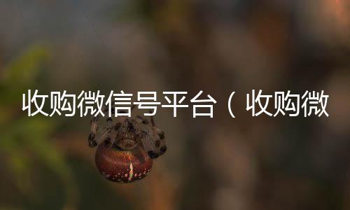 收购微信号平收vx秒结台（收购微信号价格高）